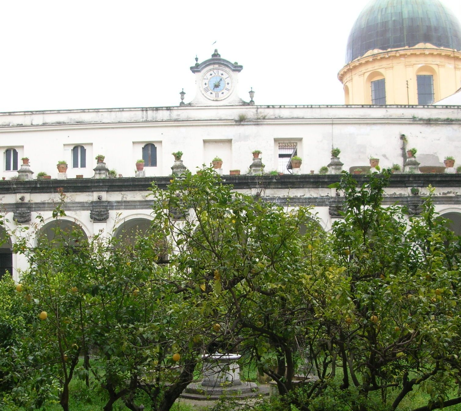 Imagen no disponible