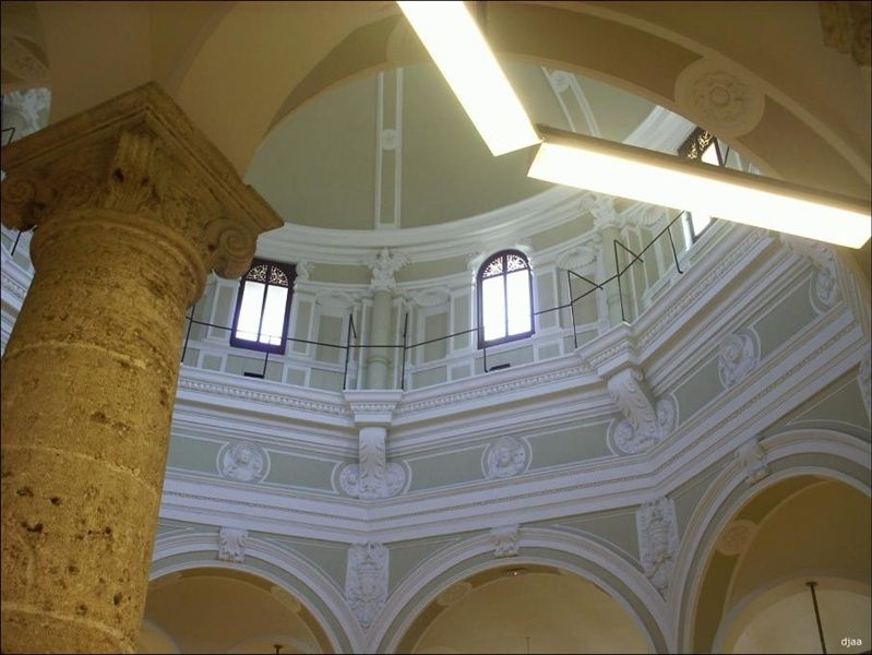 Imagen no disponible