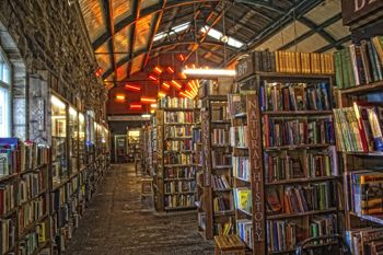 Imagen no disponible