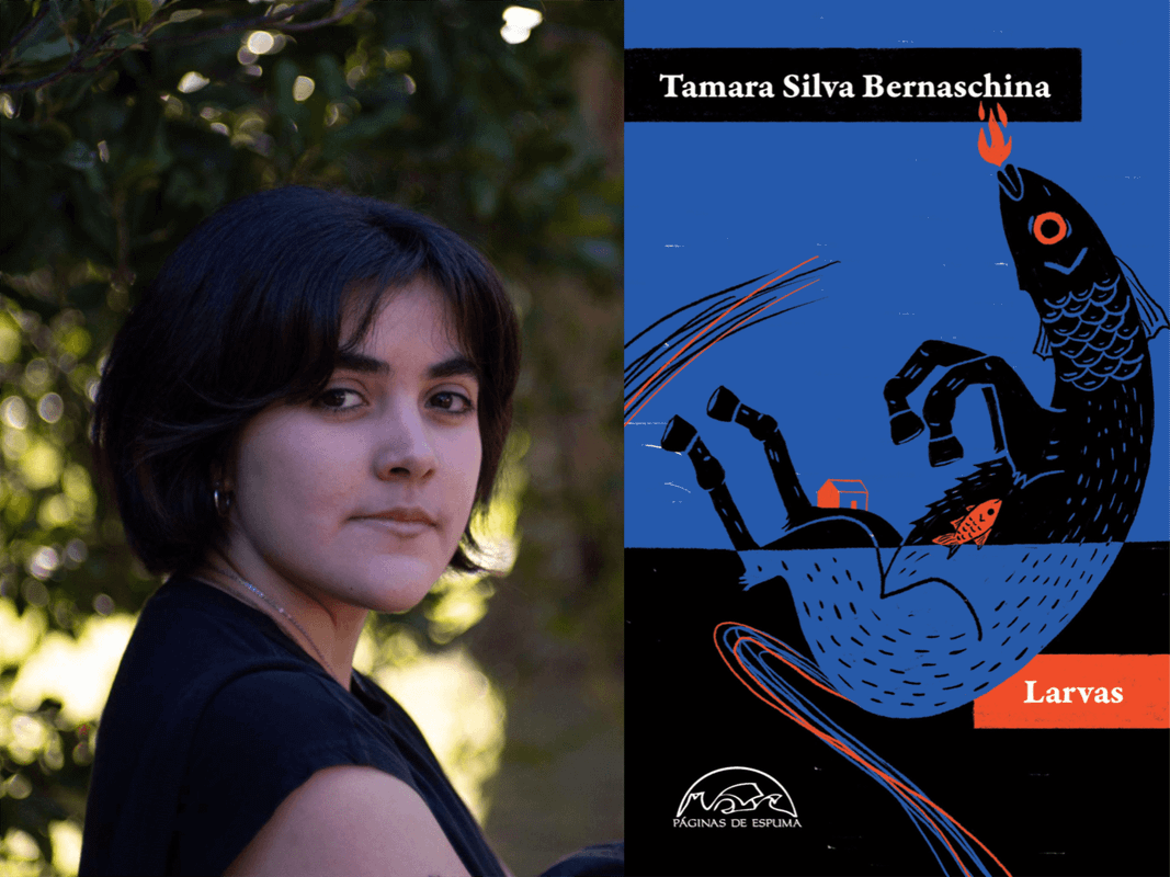 Imagen no disponible