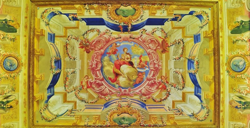 Imagen no disponible