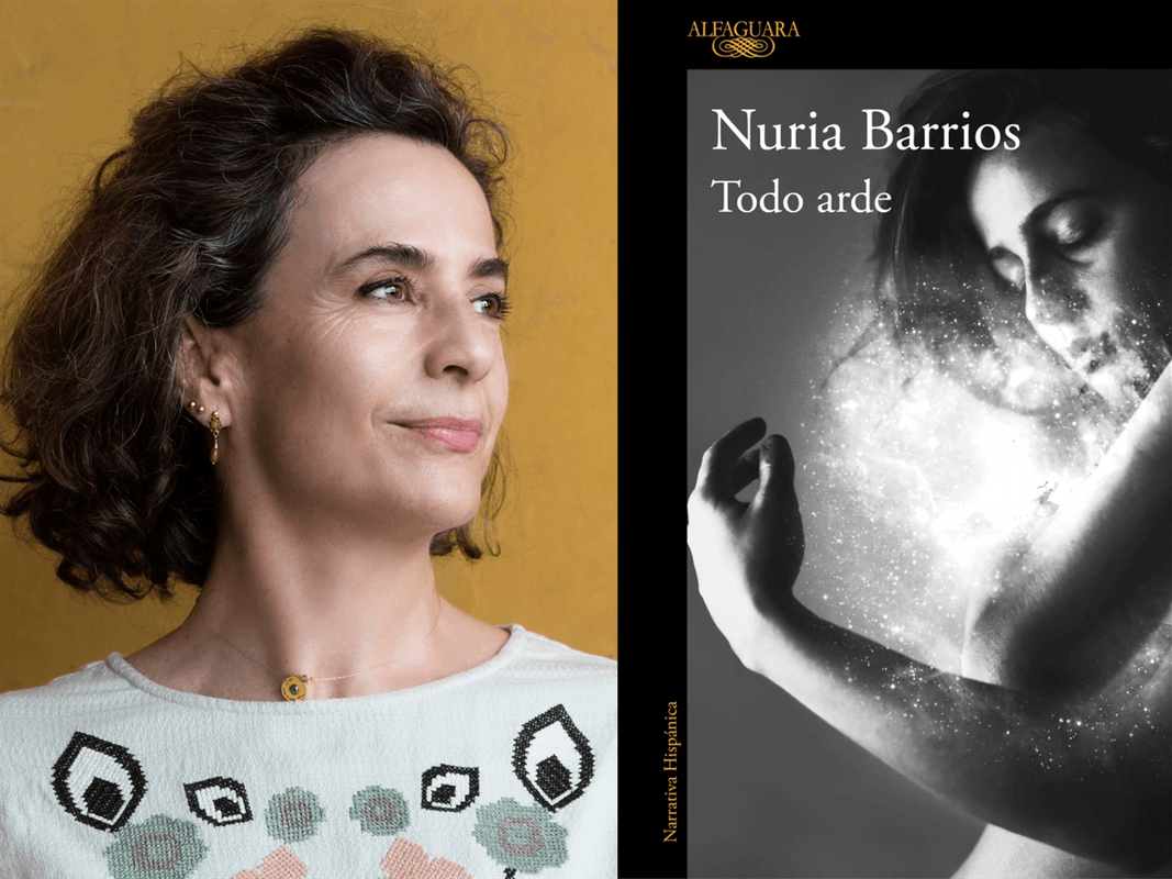 Imagen no disponible