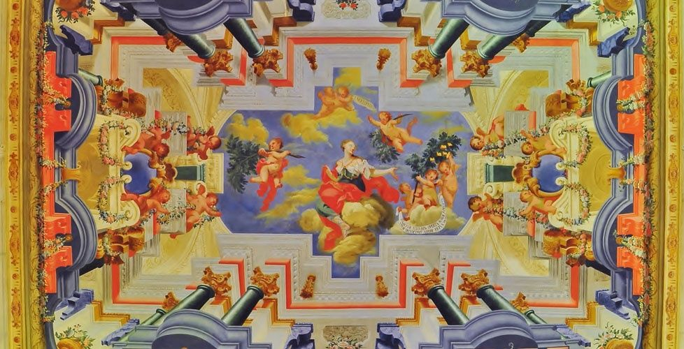 Imagen no disponible