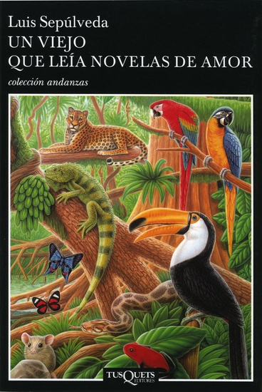 Imagen no disponible