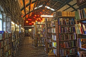 Imagen no disponible