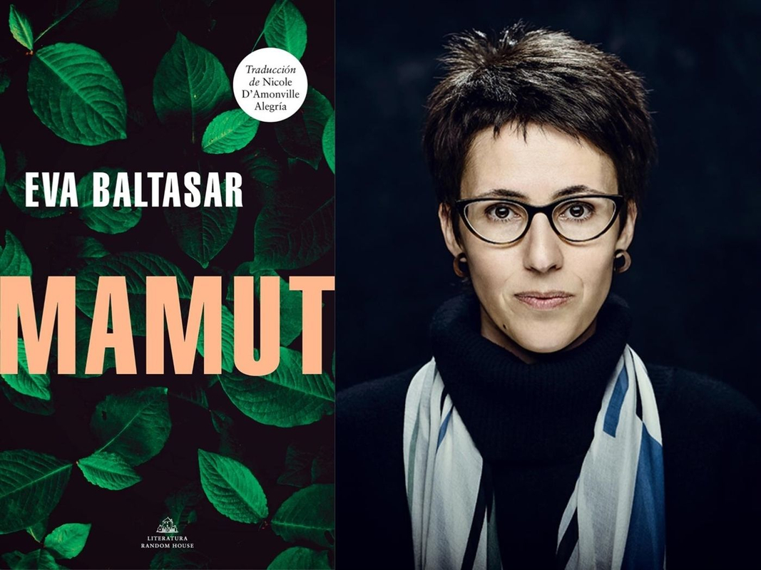 Imagen no disponible