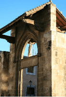 Imagen no disponible