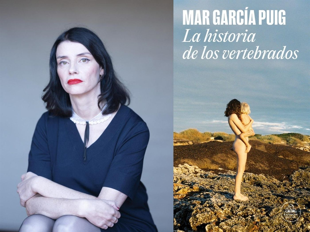 Imagen no disponible