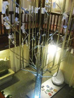 Imagen no disponible