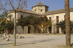 Imagen no disponible