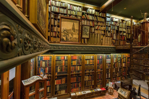 Imagen no disponible